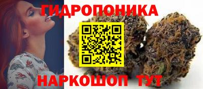 тгк Аргун