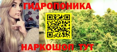 тгк Аргун