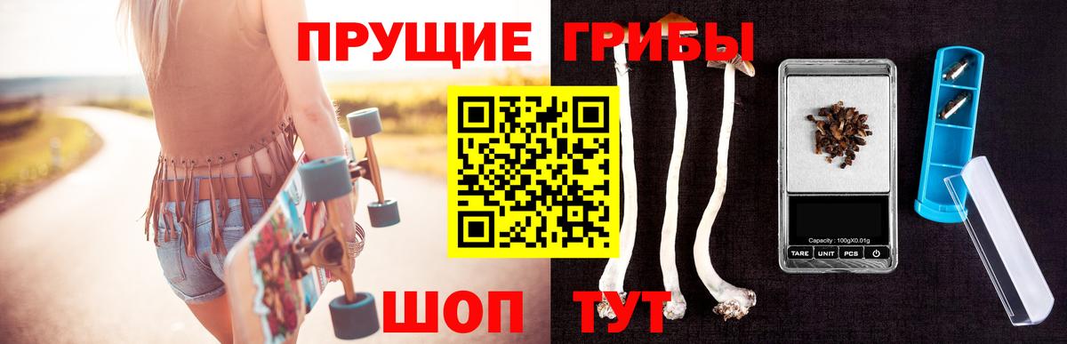 Псилоцибиновые грибы Psilocybe  Вход с VPN  Артём 